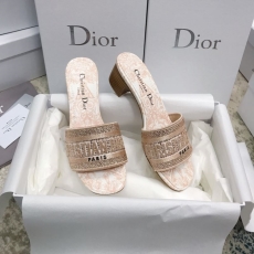 Christian Dior Slippers